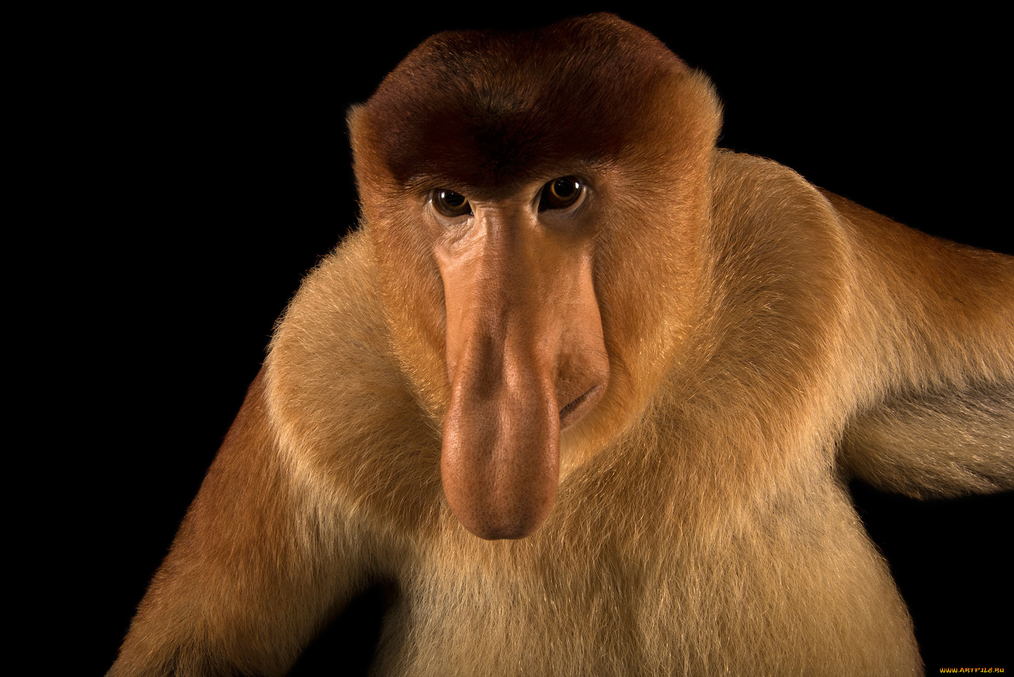 , , , , , , 